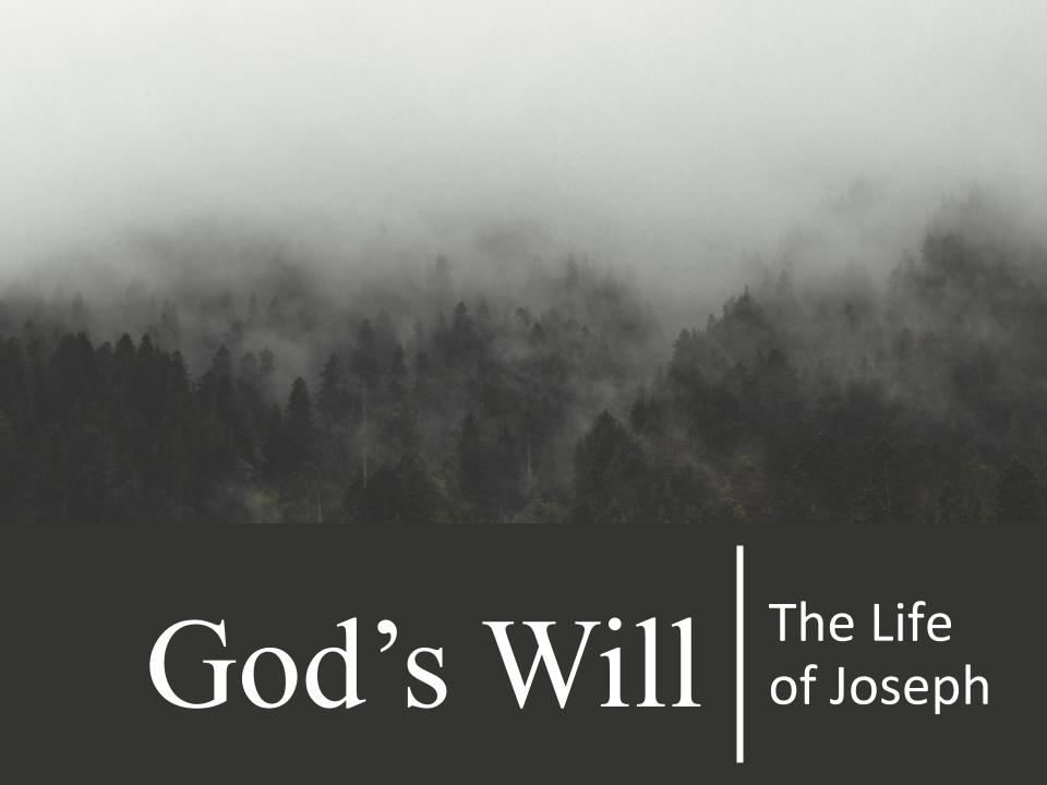 How Does God Accomplish His Will? (Genesis 50) Image