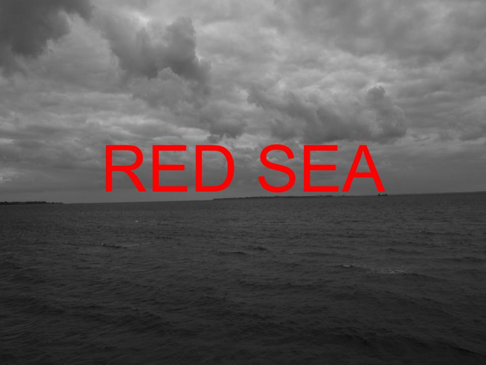 The Red Sea Image